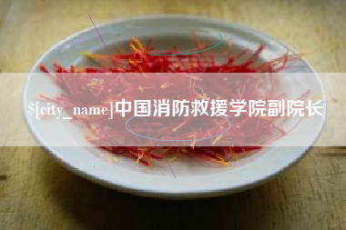 温县中国消防救援学院副院长