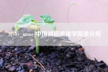 温县中国消防救援学院录分线