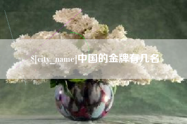 温县中国的金牌有几名