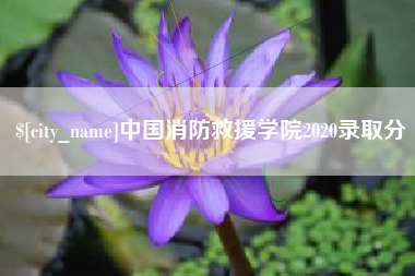 温县中国消防救援学院2020录取分