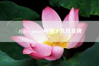 温县中国十九枚金牌
