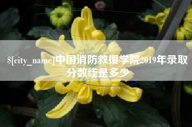 温县中国消防救援学院2019年录取分数线是多少