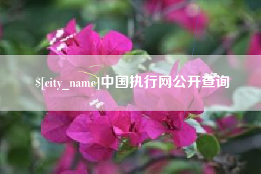 温县中国执行网公开查询