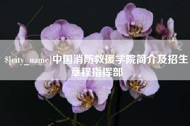 温县中国消防救援学院简介及招生章程指挥部