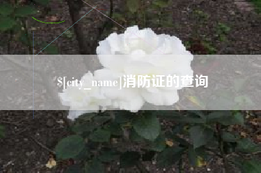 温县消防证的查询