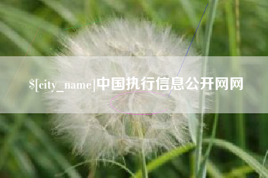 温县中国执行信息公开网网
