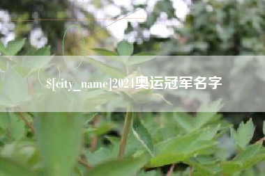 温县2024奥运冠军名字