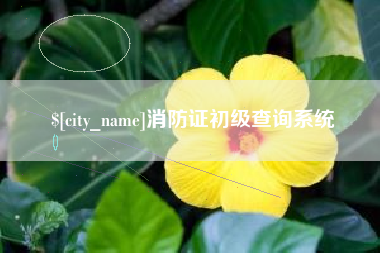 温县消防证初级查询系统