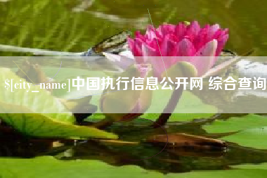 温县中国执行信息公开网 综合查询