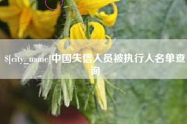 温县中国失信人员被执行人名单查询