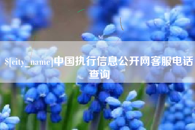 温县中国执行信息公开网客服电话查询