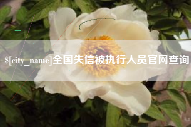 温县全国失信被执行人员官网查询