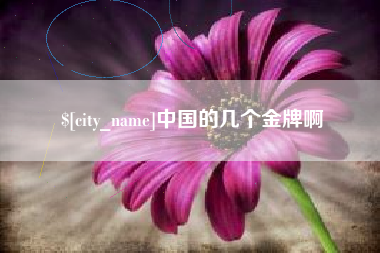 温县中国的几个金牌啊