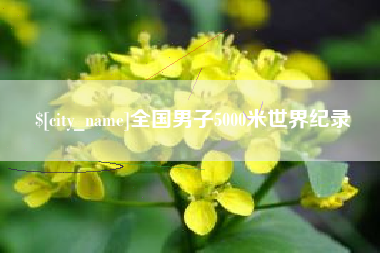 温县全国男子5000米世界纪录