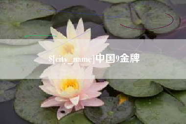 温县中国9金牌