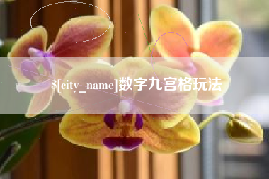 温县数字九宫格玩法
