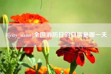温县全国消防日的日期是哪一天