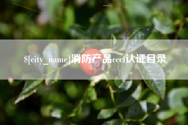 温县消防产品cccf认证目录