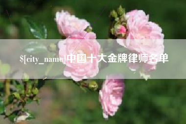 温县中国十大金牌律师名单