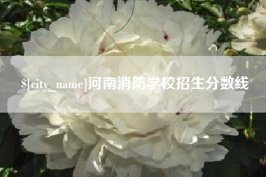 温县河南消防学校招生分数线