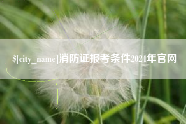 温县消防证报考条件2024年官网
