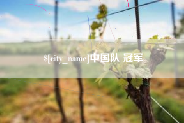 温县中国队 冠军