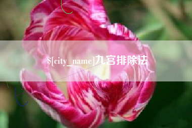 温县九宫排除法