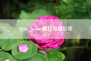 温县执行信息公示