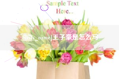 温县王子豪是怎么写
