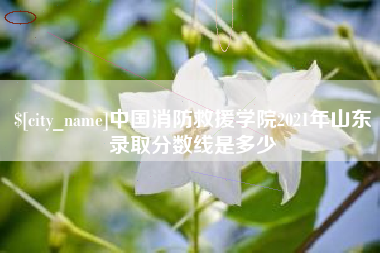 温县中国消防救援学院2021年山东录取分数线是多少