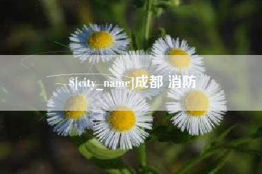 温县成都 消防