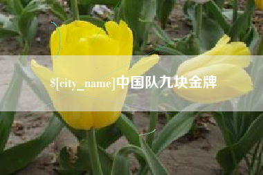 温县中国队九块金牌