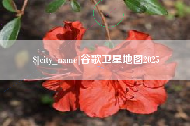 温县谷歌卫星地图2025