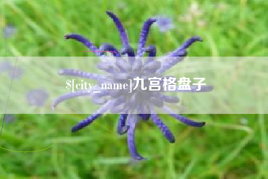 温县九宫格盘子