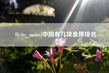 温县中国有几块金牌排名