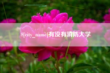 温县有没有消防大学
