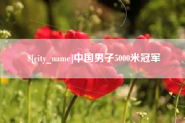 温县中国男子5000米冠军