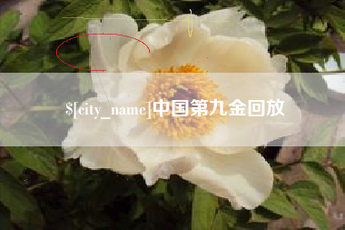 温县中国第九金回放