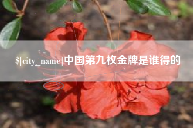 温县中国第九枚金牌是谁得的