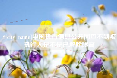 温县中国执行信息公开网查不到被执行人是不是已解除限高