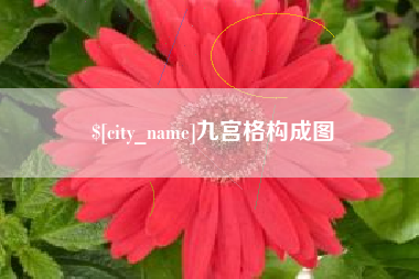 温县九宫格构成图