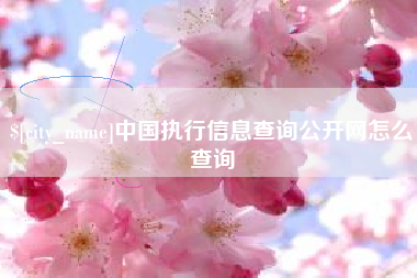 温县中国执行信息查询公开网怎么查询