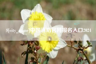 温县中国消防官网报名入口2024