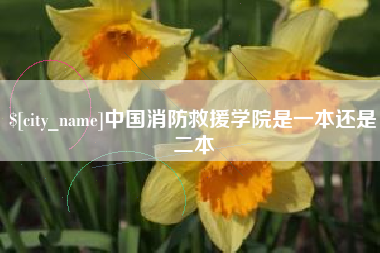 温县中国消防救援学院是一本还是二本