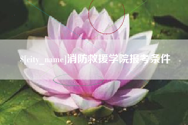 温县消防救援学院报考条件