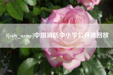 温县中国消防中小学公开课回放