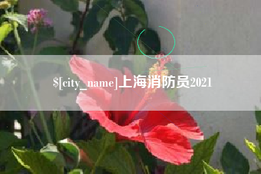 温县上海消防员2021