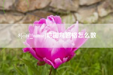 温县地图九宫格怎么数