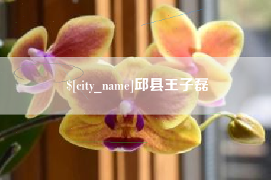 温县邱县王子磊