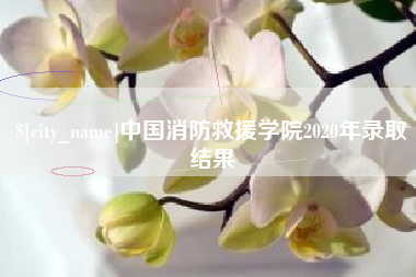 温县中国消防救援学院2020年录取结果